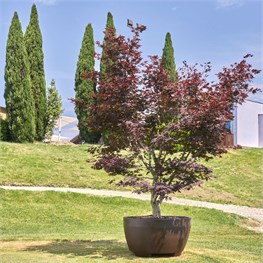 VASO MEGALOS IDEL CM 122/114 H 73 LT 670 - BRONZO